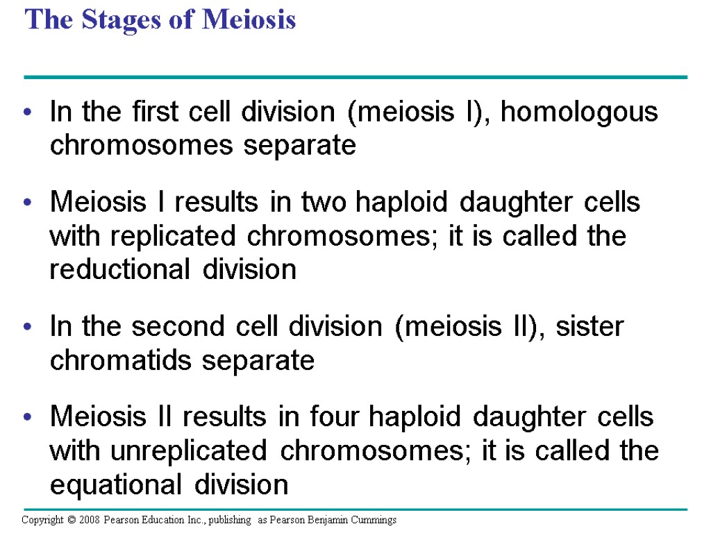 The Stages of Meiosis In the first cell division (meiosis I), homologous chromosomes separate